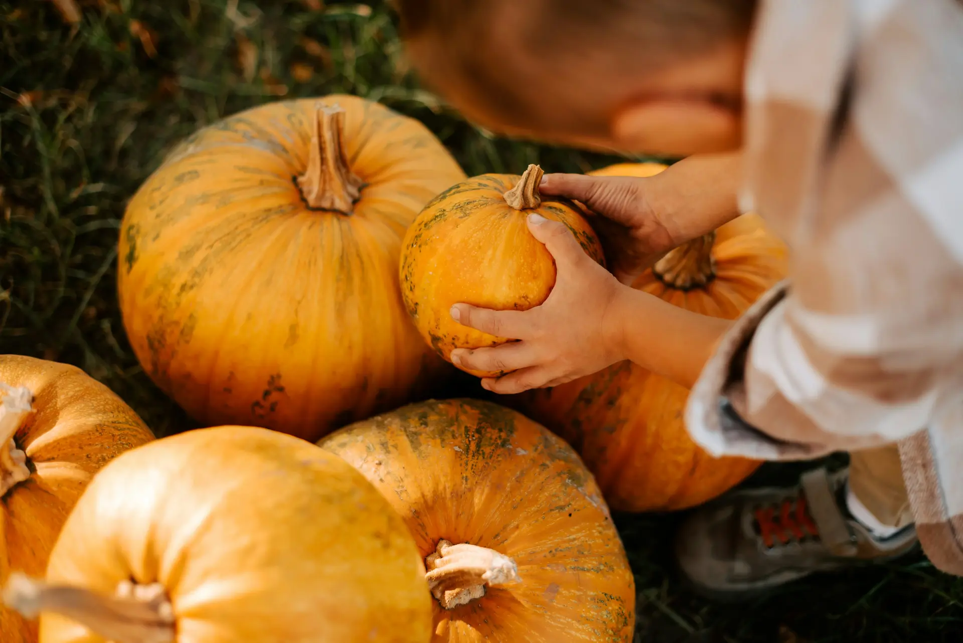 Annual Pumpkin Decorating